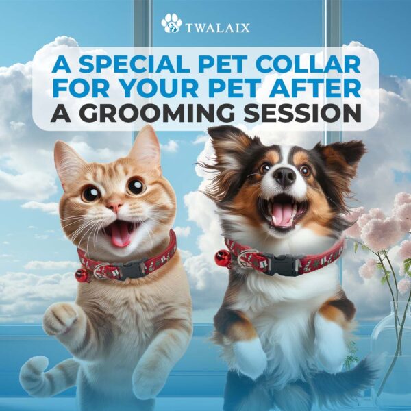 Twalaix 6-in-1 Ultimate Pet Grooming Brushes Kit | Complete Tool Kit to Groom Your Pet - Image 8