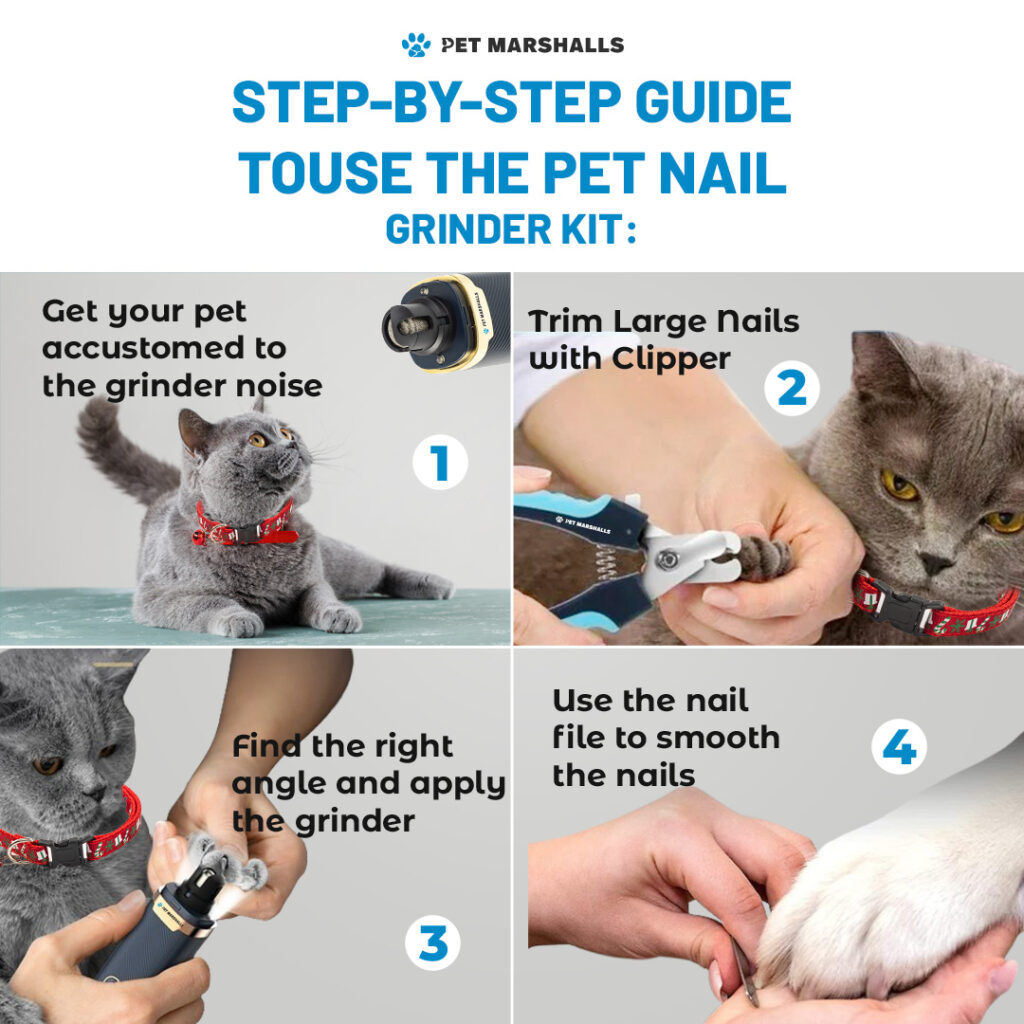 Cat Nail Trimming Techniques